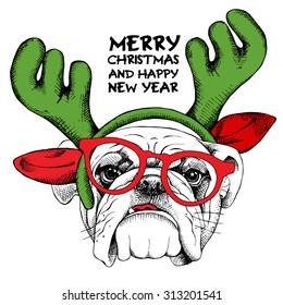 Christmas card. Bulldog portrait in mask Santa's antler reindeer and glasses. Vector illustration.