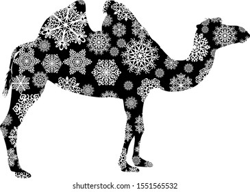 Christmas card camel in snowflakes on a white background