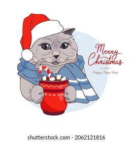 Christmas card with a cat in a New Year's hat and a glass of cocoa with marshmallows