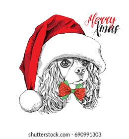 Christmas card. Cavalier King Charles Spaniel dog in a Santa's cap and in a bow tie. Vector illustration.