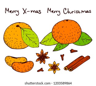 christmas card with cones and mandarins in retro styles hand-drawn with orange peel. vector illustration, element for design