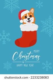 Christmas card with Christmas corgi in sock. Greeting text Merry Christmas and Happy New Year. Beautiful illustration for greeting cards, posters and seasonal design.