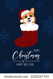 Christmas card with Christmas corgi in sock. Greeting text Merry Christmas and Happy New Year. Beautiful illustration for greeting cards, posters and seasonal design.