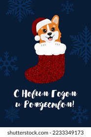 Christmas card with Christmas corgi in sock. The inscription is in Russian: Happy New Year and Merry Christmas! Beautiful illustration for greeting cards, posters and seasonal design.