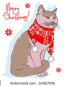 Christmas card with cute cat in scarf