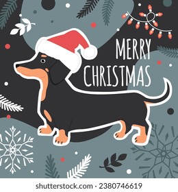 Christmas card with a cute dachshund dog in Santa Hat and winter elements. Vector flat illustration in trendy colors.