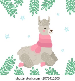 Christmas card with a cute gray llama or alpaca in winter, sitting in a warm scarf and felt boots. Decorated with spruce branches. Vector cozy illustration.