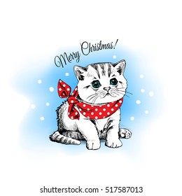 Christmas card. Cute kitten in the red polka dot neckerchief on a blue snow background. Vector illustration.