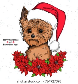 Christmas card. Cute Yorkshire Terrier in a red Santa Claus hat and Christmas flowers red Poinsettia. Merry Christmas and Happy New Year - text

