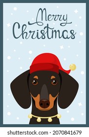 A Christmas card with a dachshund. Cute cartoon-style dog.
