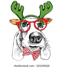 Christmas card. Dog Basset Hound portrait in a mask Santa's antler reindeer and glasses. Vector illustration.