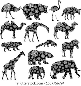 Christmas card elephant, giraffe, bear, flamingo, zebra, camel, hyena in snowflakes on a white background