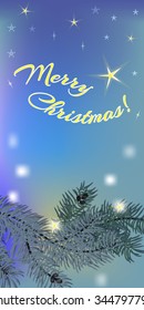Christmas card with fir branch 