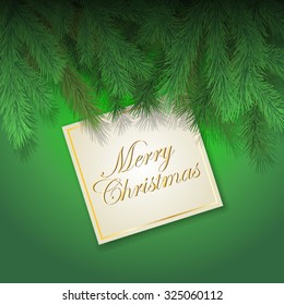 Christmas card with fir branch isolated on background. Vector illustration