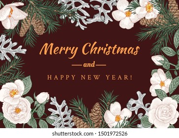 Christmas card with fir branches, cones, white roses and a dusty miller. Botanical illustration. Vector red background. 
