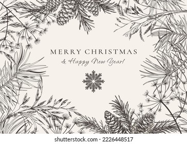 Christmas card with fir and pine branches, cones, dried grasses. Botanical illustration. Vector holiday card. Black and White. Sketch. 