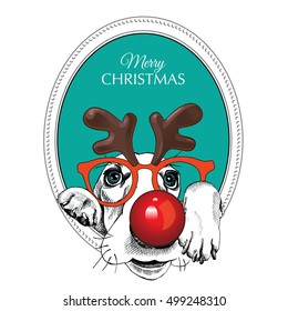 Christmas card. Frame with Portrait of a Basset Hound dog in the mask Santa's deer (Horn, glasses, red nose) on a green background. Vector illustration.