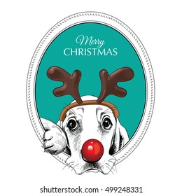 Christmas card. Frame with Portrait of a Basset Hound dog in the mask Santa's deer (Horn, red nose) on a green background. Vector illustration.