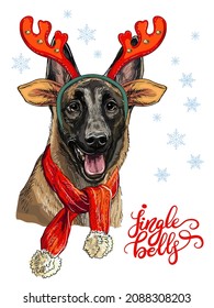 Christmas card. Funny belgian shepherd malinois dog portrait with a deer antlers, scarf, snowflakes and lettering. Vector illustration. For decor, design, print, posters, stickers, t-shirt, embroidery