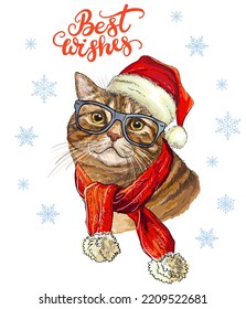 Christmas card with funny british cat portrait wearing in christmas hat, glasses, scarf, snowflakes and lettering best wishes. Vector illustration. For decor, design, print, posters, stickers, t-shirt