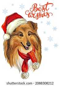 Christmas card. Funny collie dog portrait with a scarf, christmas hat, snowflakes and lettering. Vector illustration. For decor, design, print, posters, stickers, t-shirt, embroidery