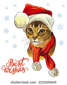 Christmas card with funny cute abyssinian cat head in christmas hat, scarf. Winter background with snowflakes. Lettering best wishes. Vector illustration. For decor, design, print, posters, t-shirt