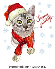 Christmas card with funny cute gray cat head in christmas hat, scarf. Winter background with snowflakes. Lettering seasons greatings. Vector illustration. For decor, design, print, posters, t-shirt