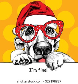 Christmas card. Funny dog portrait in a Santa's hat and glasses on yellow background. Vector illustration.