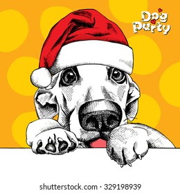 Christmas card. Funny dog portrait in a Santa's hat on yellow background. Vector illustration.