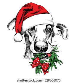 Christmas card. Funny dog portrait in a Santa's hat with needles wreath. Vector illustration.