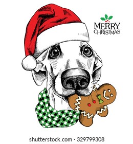 Christmas card. Funny dog portrait in red Santa's hat and with gingerbread man. Vector illustration.