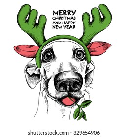 Christmas card. Funny dog in a reindeer antlers mask. Vector illustration.