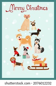 Christmas card with funny dogs. Cartoon design.
