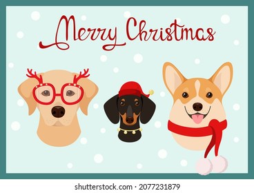 A Christmas card with funny dogs. Cartoon design.
