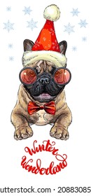 Christmas card. Funny french bulldog dog portrait with a bow, christmas hat, glasses, snowflakes and lettering. Vector illustration. For decor, design, print, posters, stickers, t-shirt, embroidery