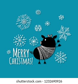 Christmas card with funny pig, symbol of 2019 year for your design