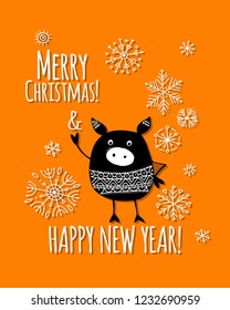 Christmas card with funny pig, symbol of 2019 year for your design