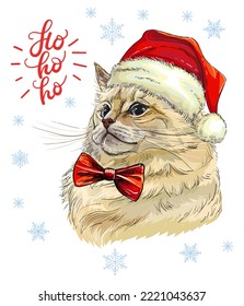 Christmas card with funny serious cat head in christmas hat, bow and with snowflakes. Lettering ho-ho-ho. Vector illustration. For decor, design, print, posters, stickers, t-shirt