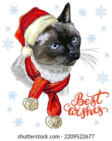 Christmas card with funny thai cat portrait wearing in christmas hat, scarf, snowflakes and lettering best wishes. Vector illustration. For decor, design, print, posters, stickers, t-shirt and fabric