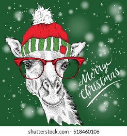 Christmas card with giraffe in winter hat. Merry Christmas lettering design. Vector illustration