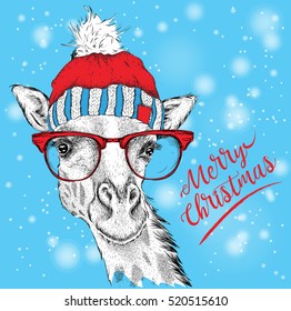 Christmas card with giraffe in winter hat. Merry Christmas lettering design. Vector illustration