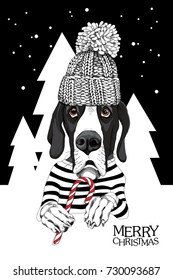 Christmas card. Great Dane Dog in a striped cardigan, in a winter knitted cap and with a red lollipop. Vector illustration.