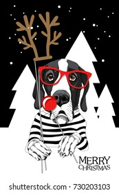 Christmas card. Great Dane Dog in a striped cardigan and with a red glasses, horns and a nose of a deer photo booth props. Vector illustration.