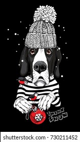 Christmas card. Great Dane Dog in a striped cardigan, in a winter knitted cap and with a red ball toy. Vector illustration.