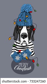 Christmas Card. Great Dane Dog In A Striped Cardigan, In A Blue Knitted Cap, Mittens And With A Bright Garland. Vector Illustration.