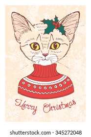 Christmas card. Hand drawn cat dressed up in sweater. Vector illustration.