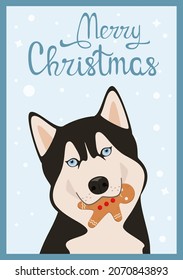 Christmas Card With Husky. Cute Cartoon-style Dog.
