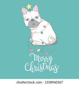 Christmas card. Image Portrait of French bulldog in Santa hats. Vector illustration.