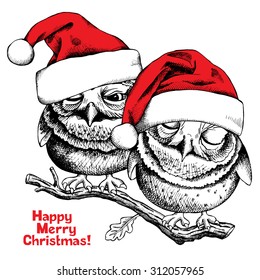 Christmas card. Image of a two small owls in Santa's hat on oak branch. Vector illustration.