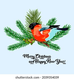 Christmas card or invitation design. Spruce and pine branches with a bullfinch. Vector illustration. 
